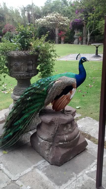 Las Calandrias Hotel Atlixco Zewnętrze zdjęcie